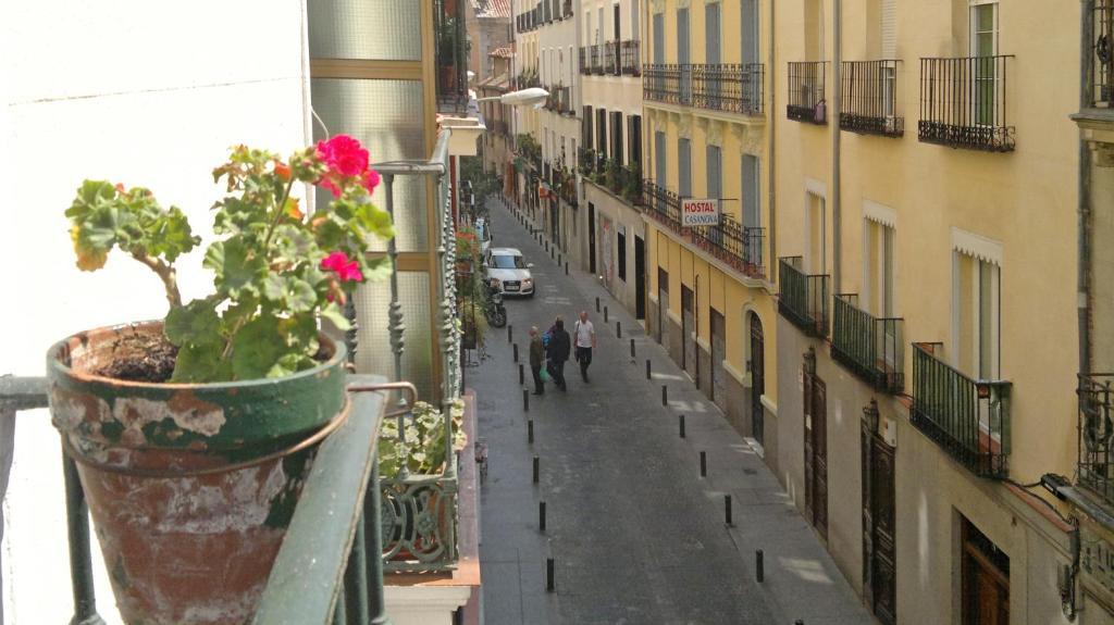 Hostal San Antonio مدريد المظهر الخارجي الصورة