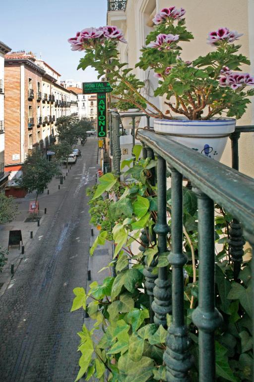 Hostal San Antonio مدريد المظهر الخارجي الصورة